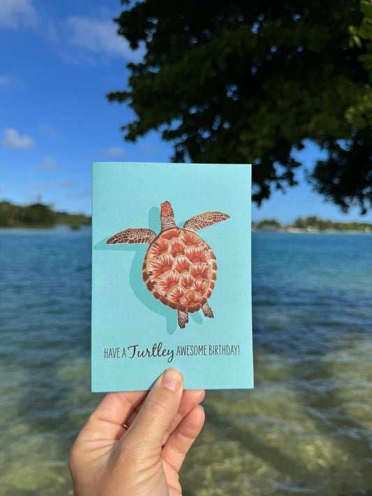 Birthday Card - Juvenile Green Turtle