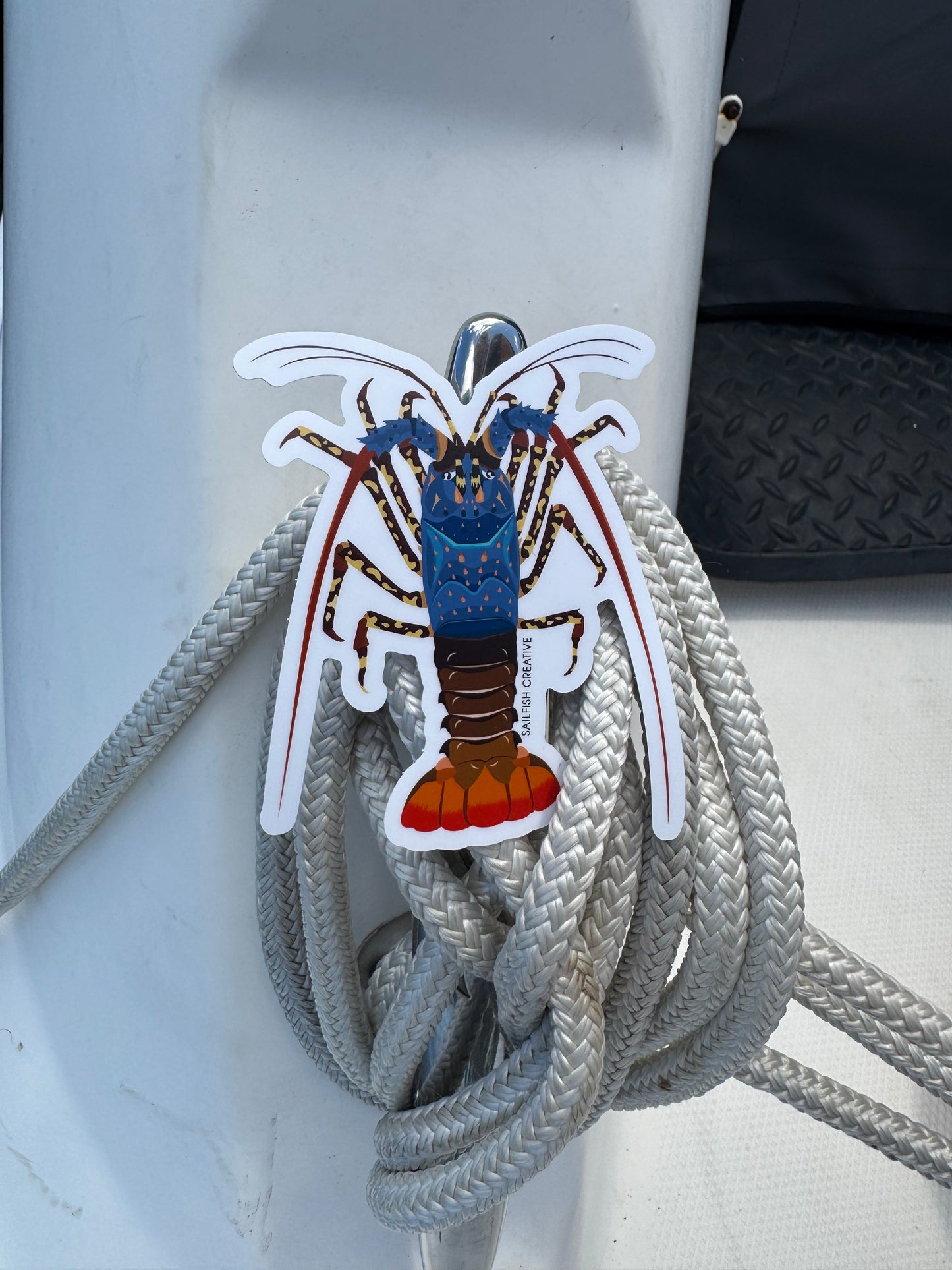 Sticker - Ornate Painted Cray - Sailfish Creative