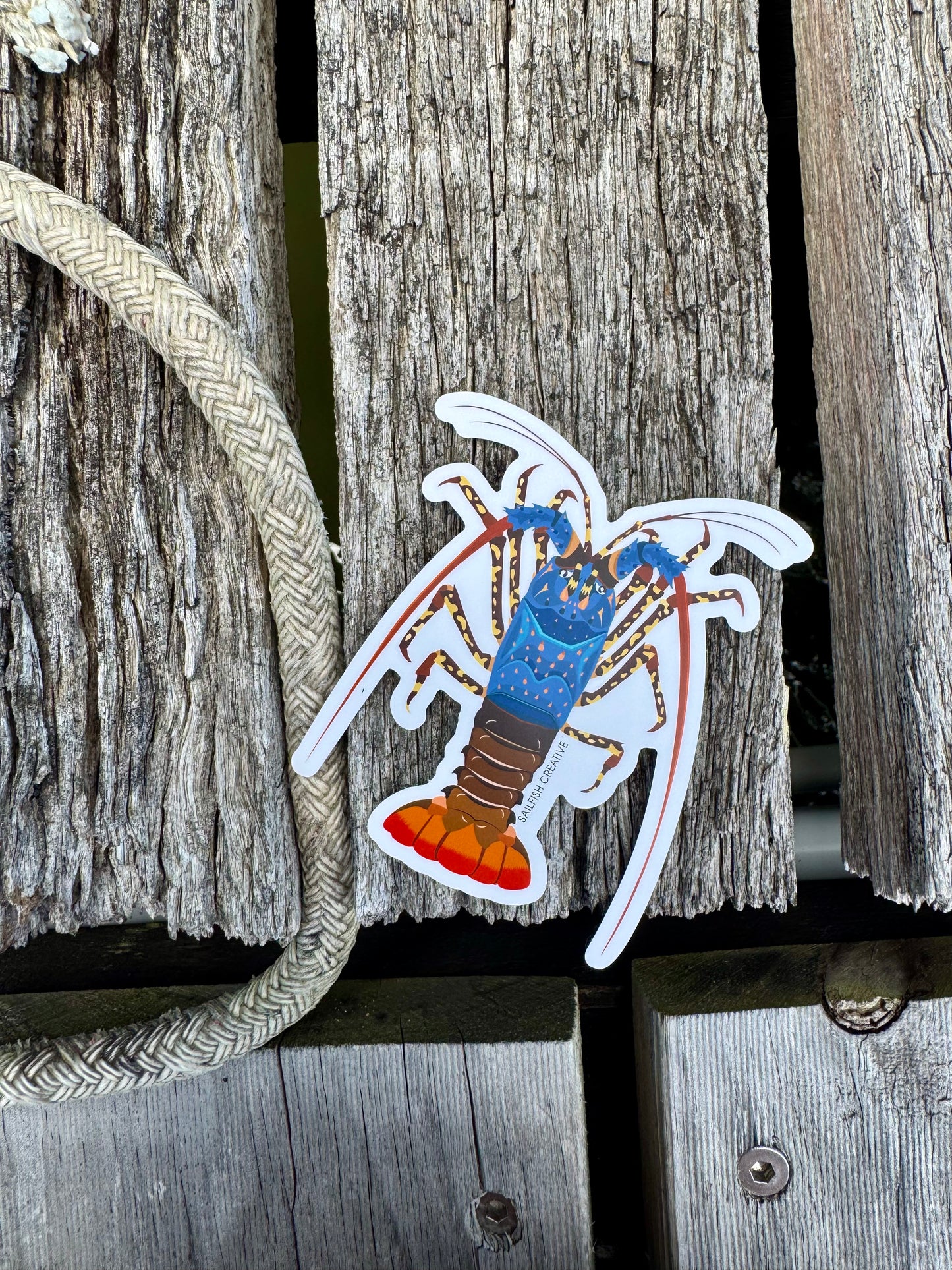 Sticker - Ornate Painted Cray - Sailfish Creative
