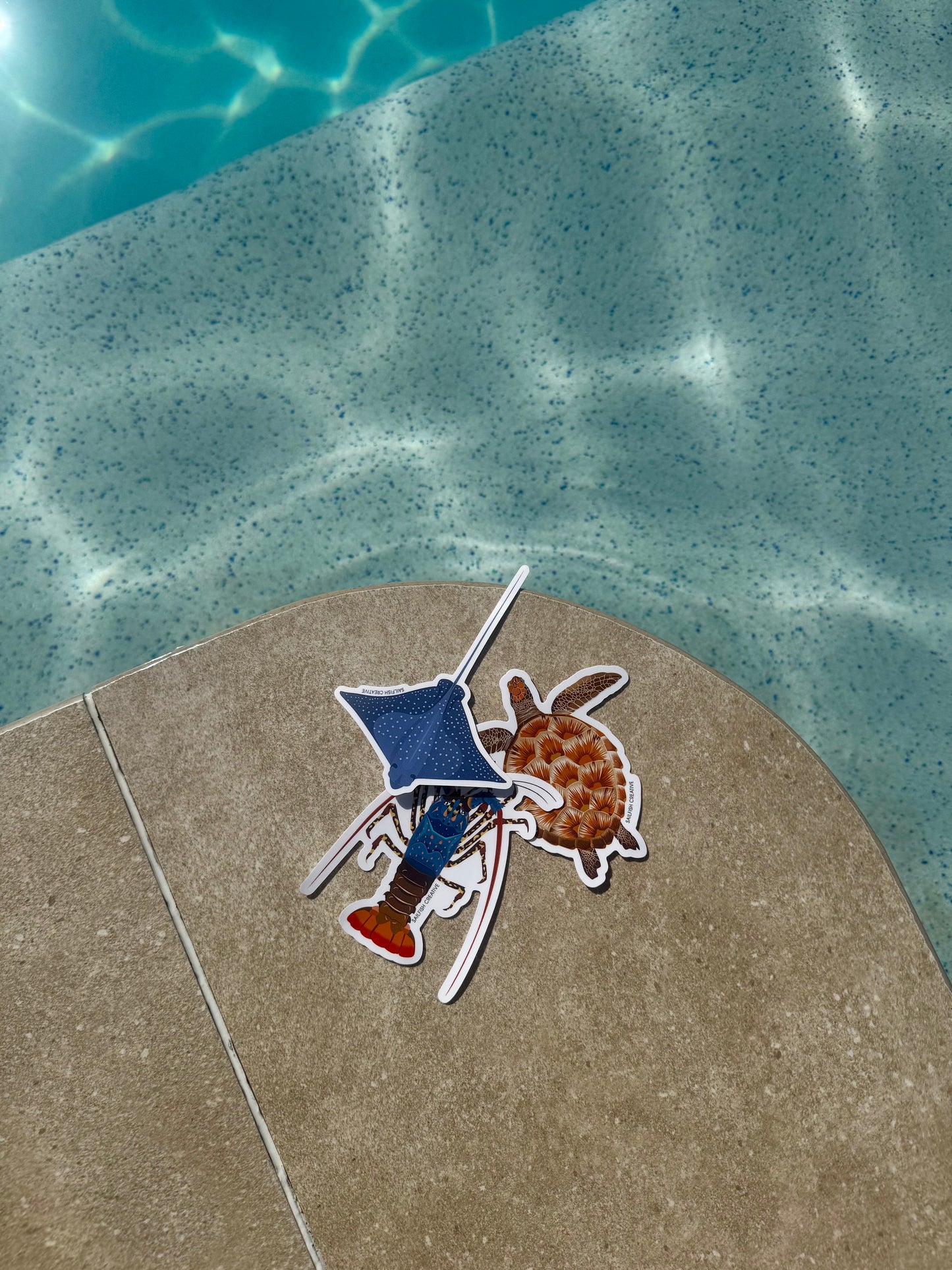 Sticker - Eagle Ray Birdseye - Sailfish Creative