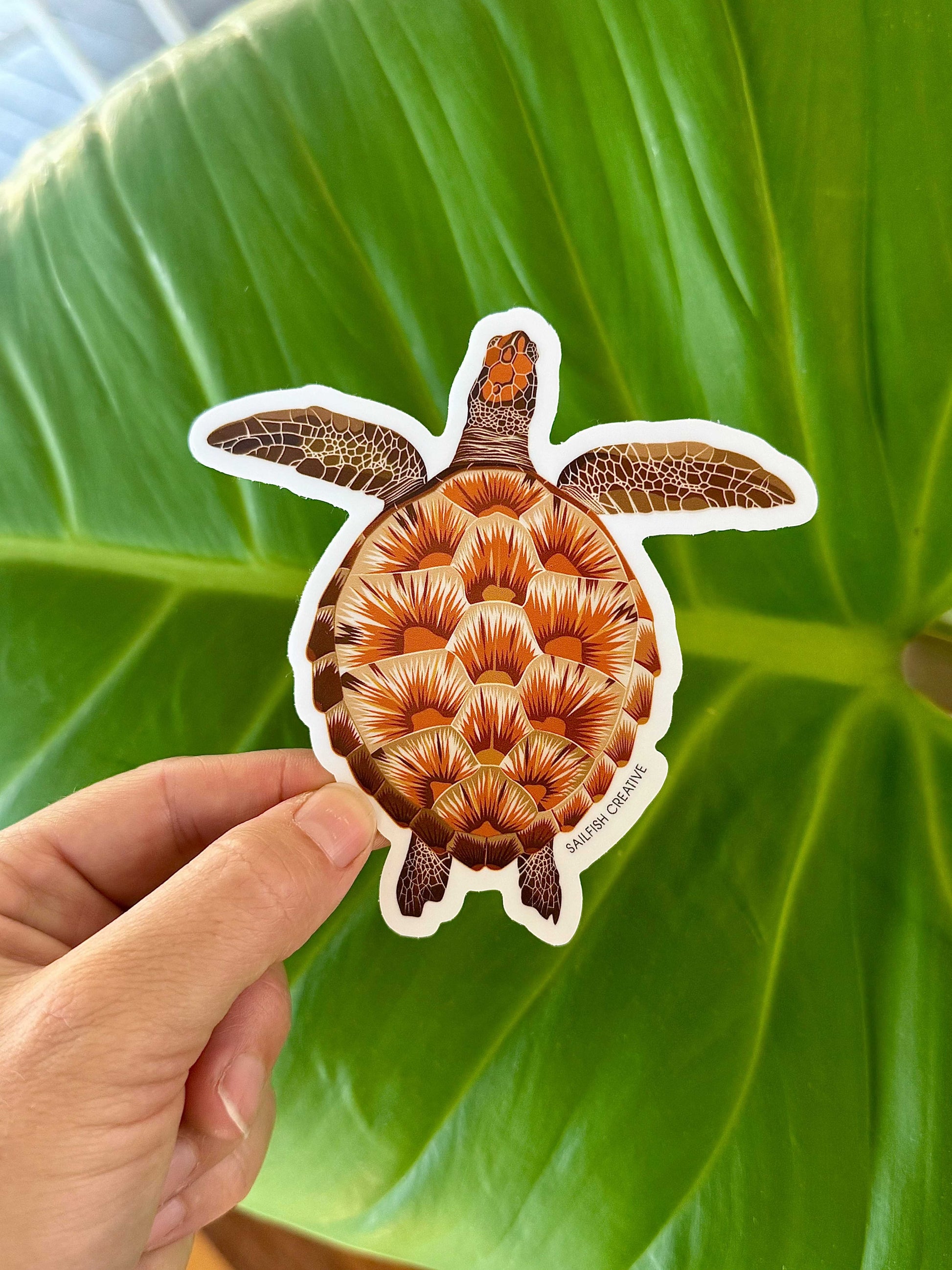 Sticker - Juvenile Green Turtle - Sailfish Creative