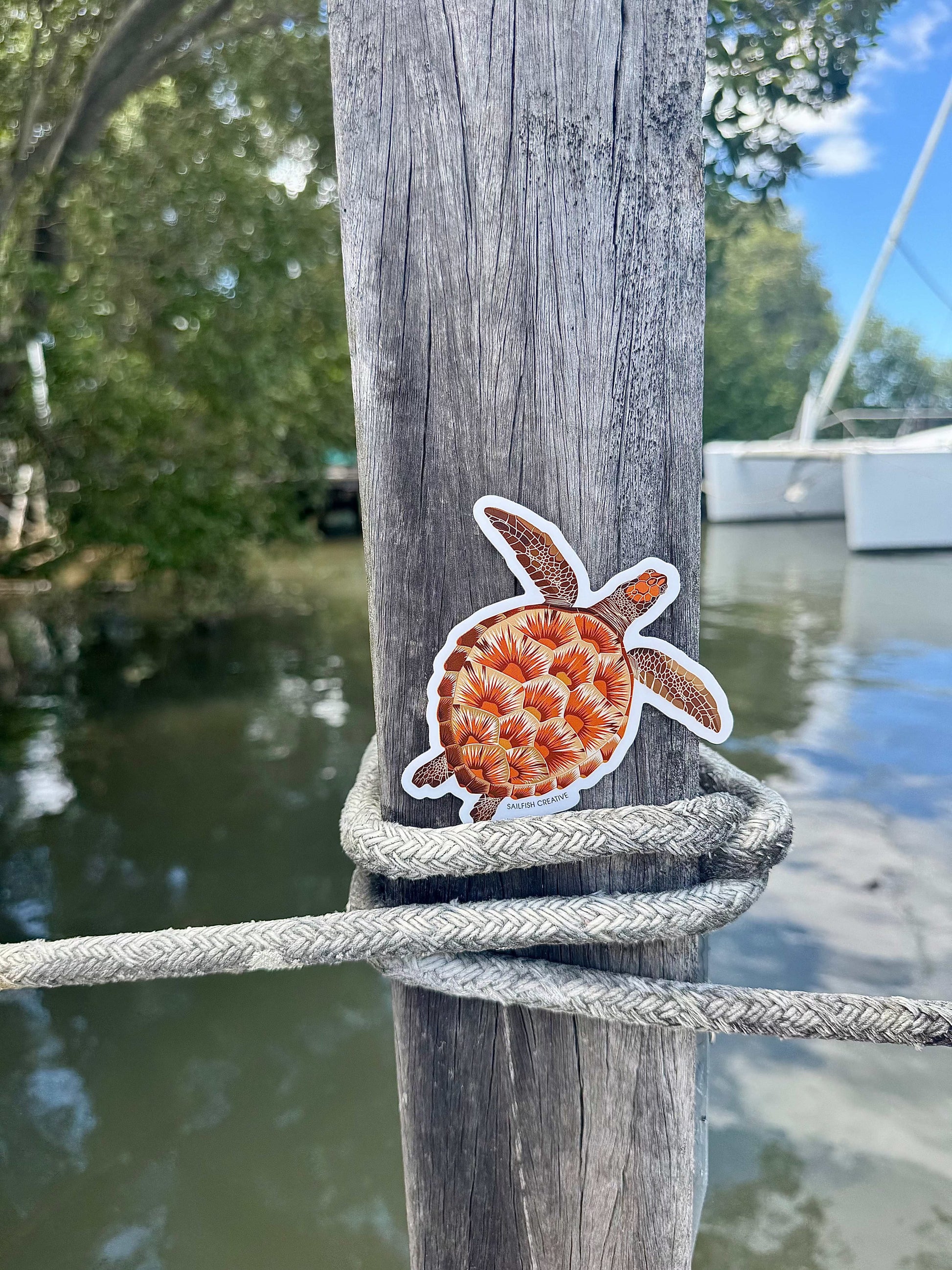 Sticker - Juvenile Green Turtle - Sailfish Creative