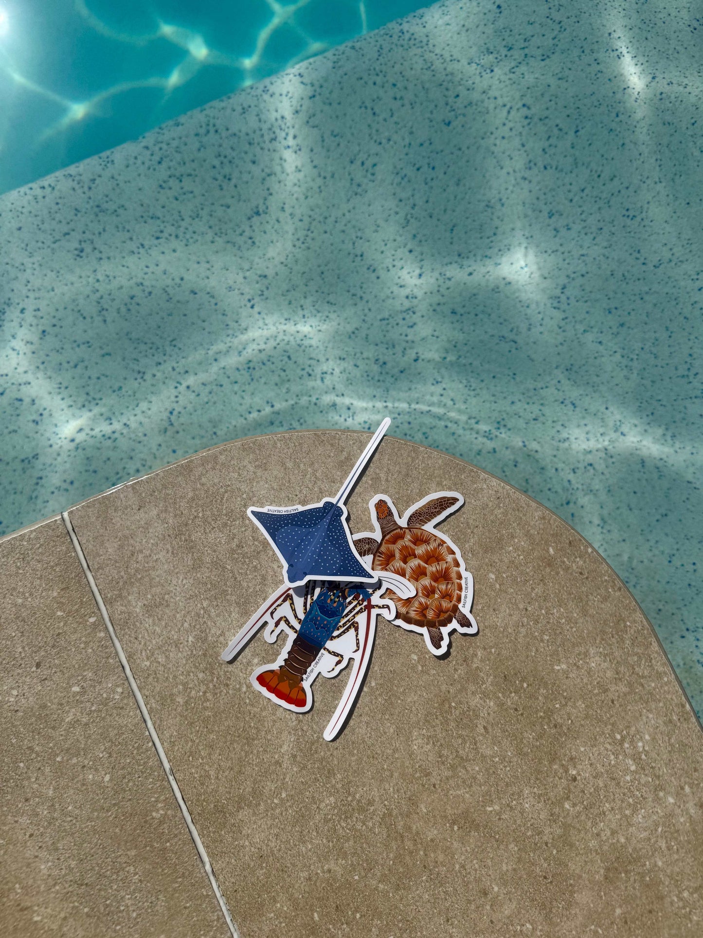 Sticker - Ornate Painted Cray - Sailfish Creative