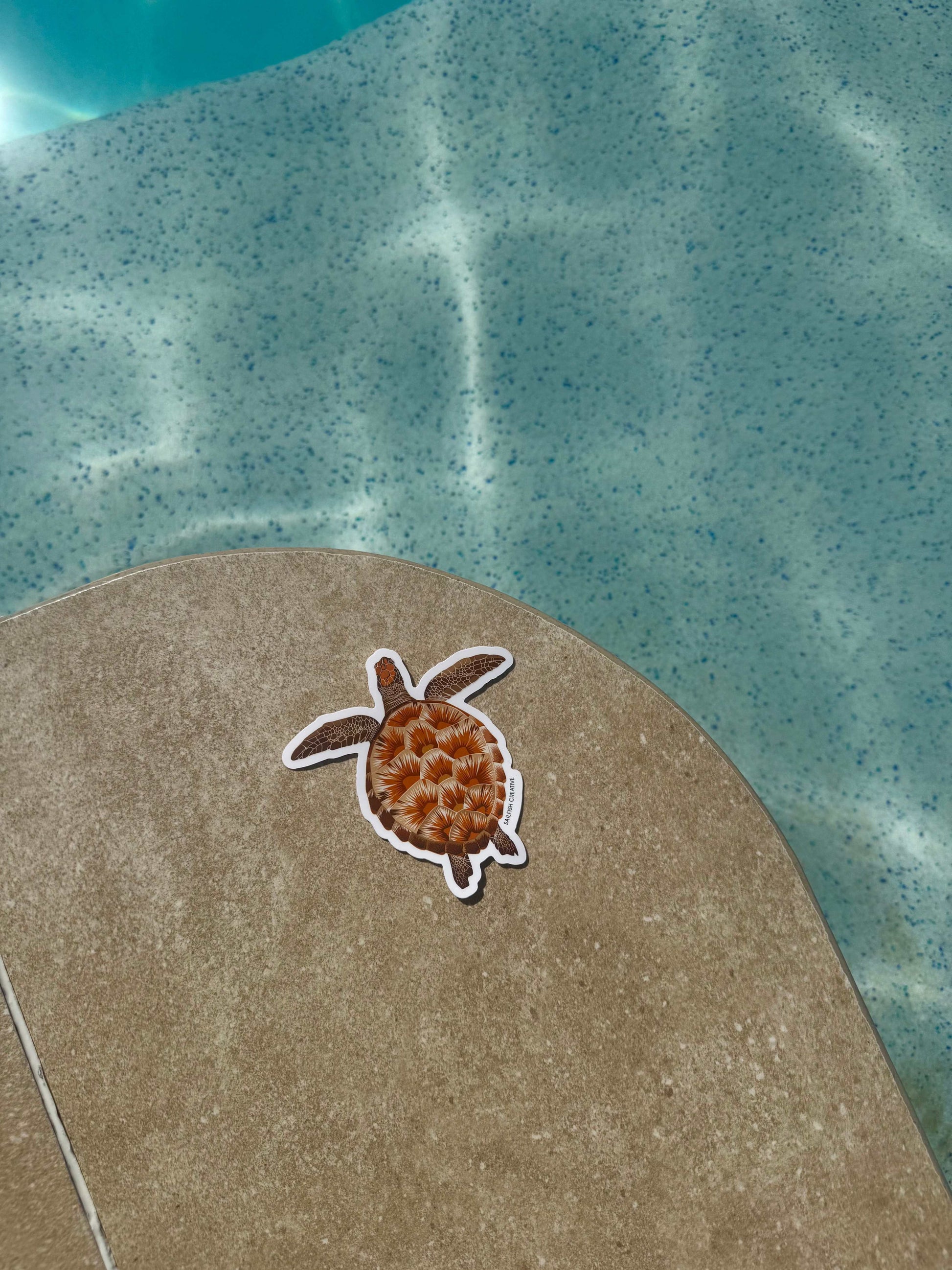 Sticker - Juvenile Green Turtle - Sailfish Creative
