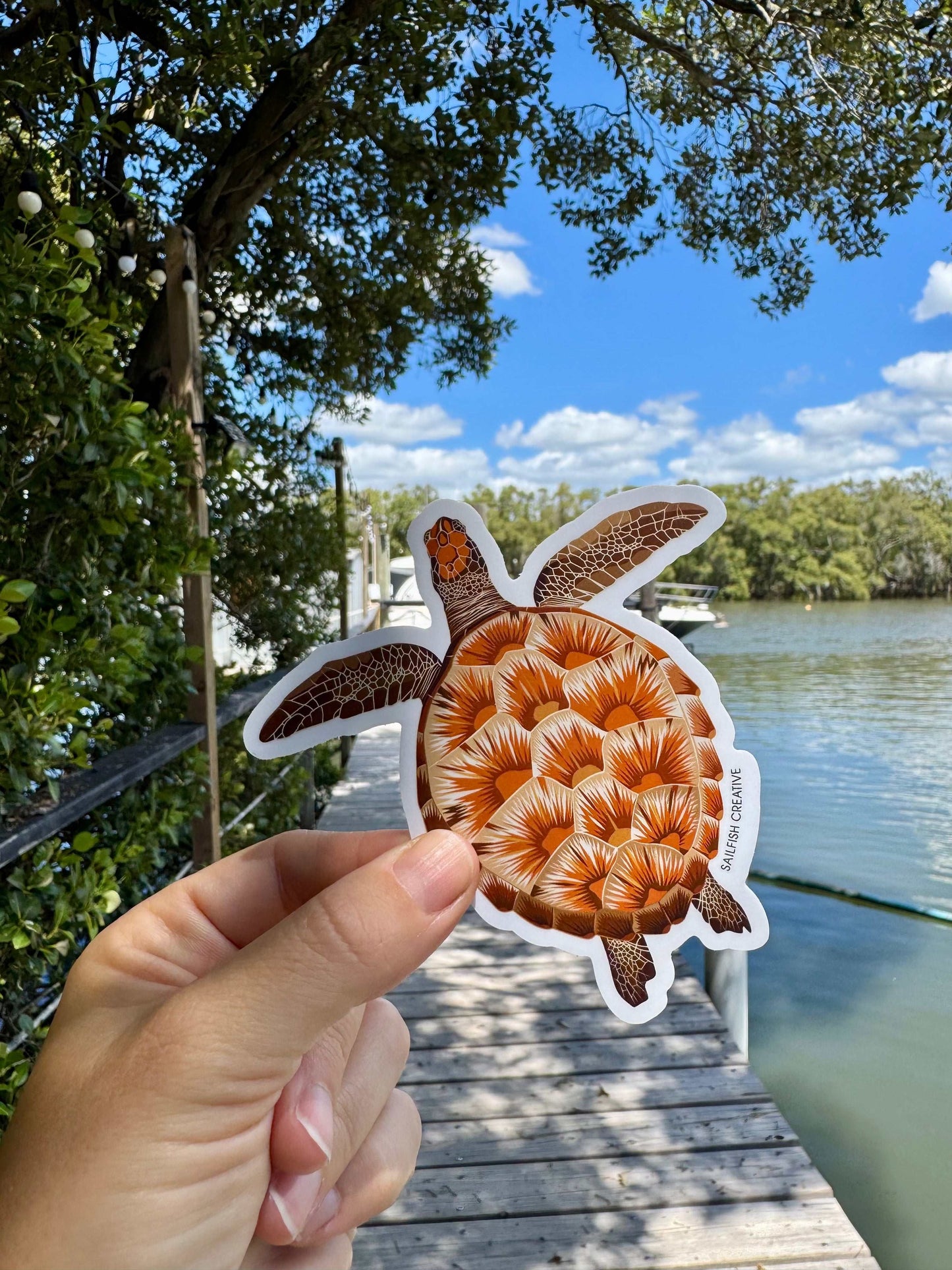 Sticker - Juvenile Green Turtle - Sailfish Creative