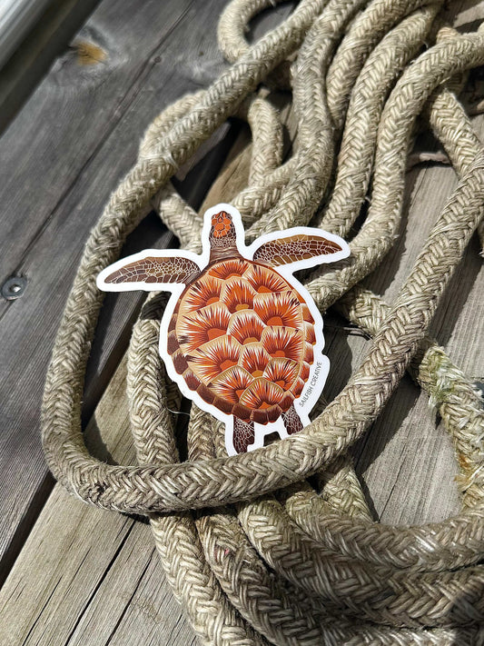 Sticker - Juvenile Green Turtle - Sailfish Creative