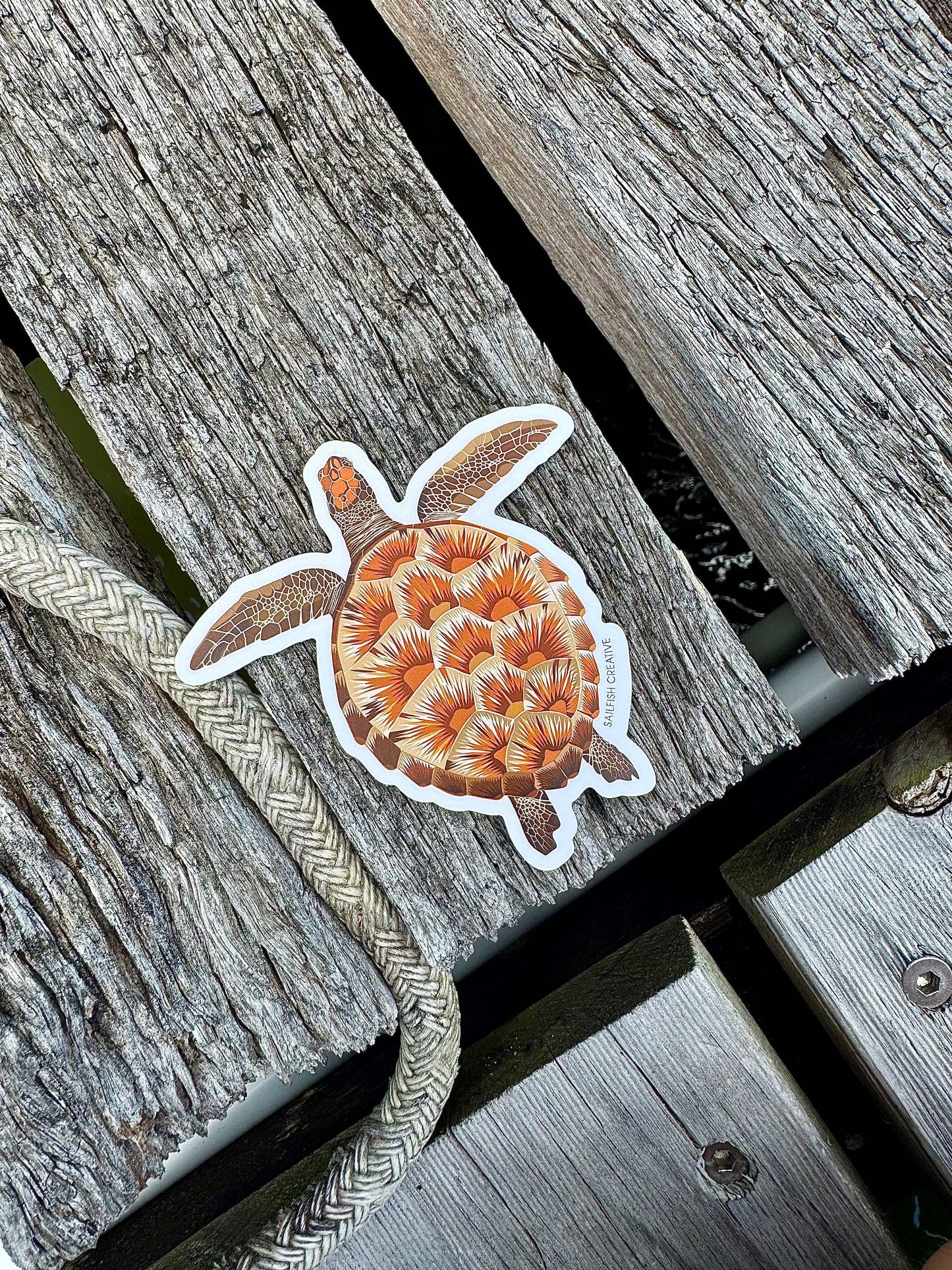 Sticker - Juvenile Green Turtle - Sailfish Creative