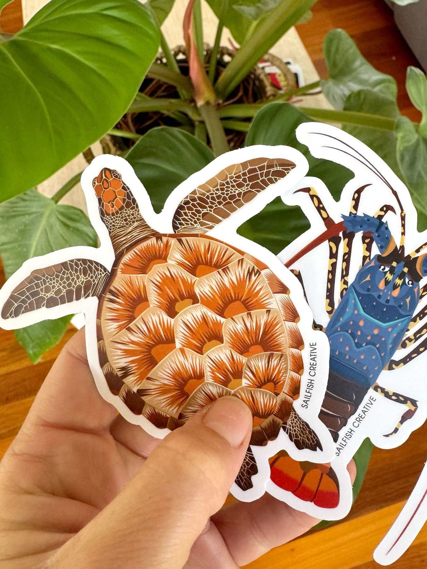 Sticker - Juvenile Green Turtle - Sailfish Creative