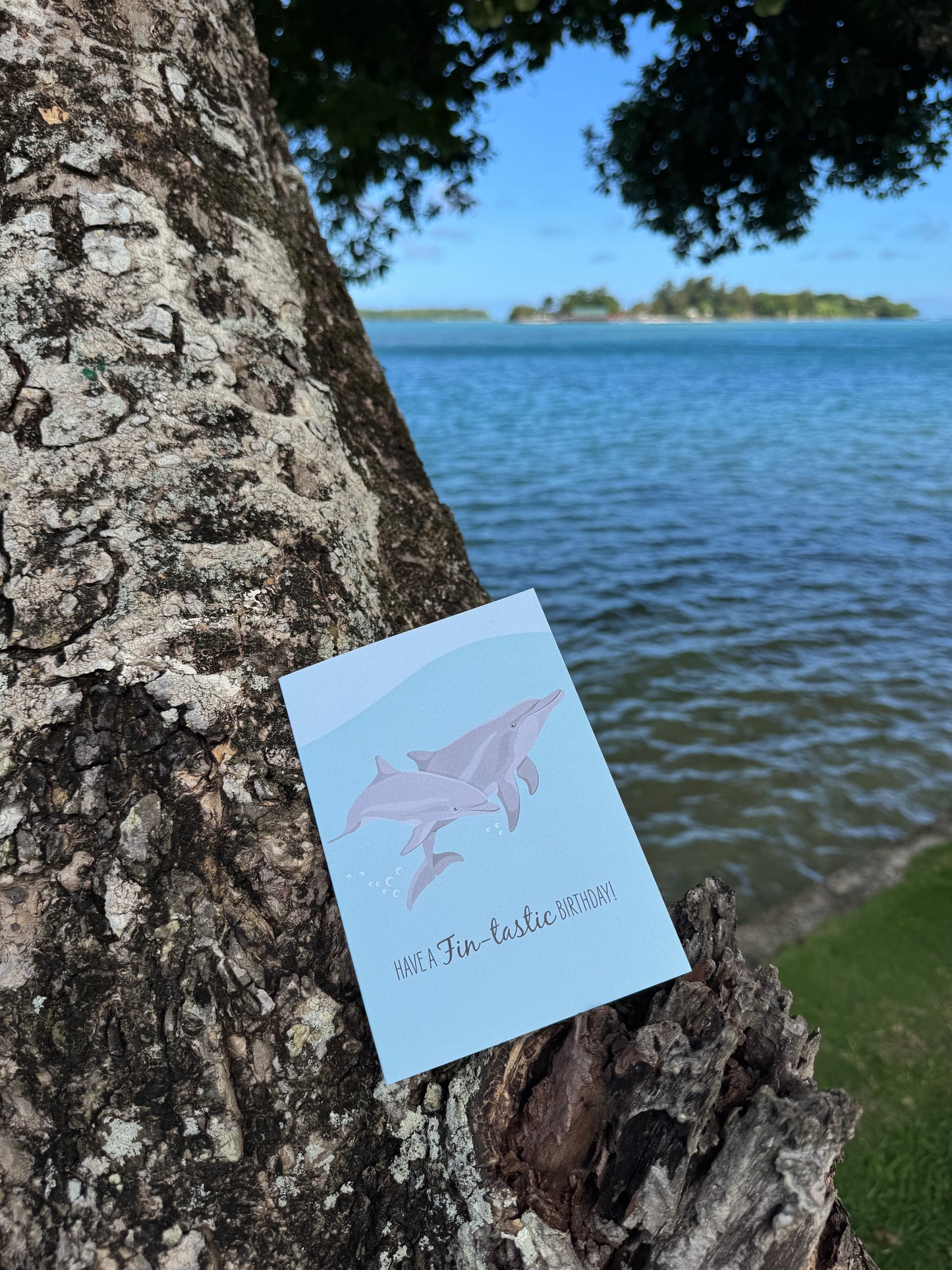 Birthday Card - Bottlenose Dolphins