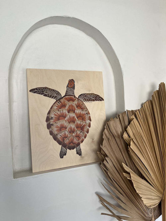 Juvenile Green Turtle wood wall art printed on FSC certified wood with rear spacer, displayed in a white niche next to dried palm leaves