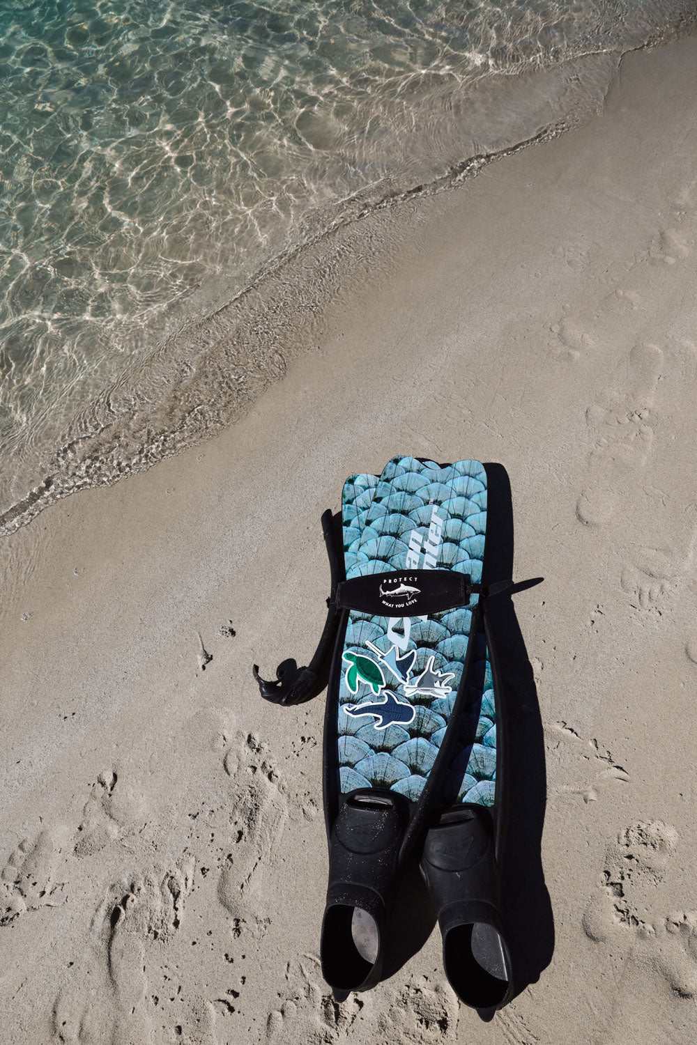 Sticker - Eagle Ray - Sailfish Creative