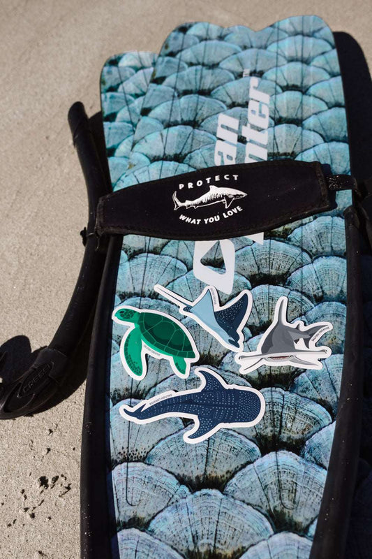 Sticker - Green Turtle - Sailfish Creative