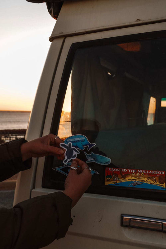 Sticker - Baby Turtle Hatchling - Sailfish Creative