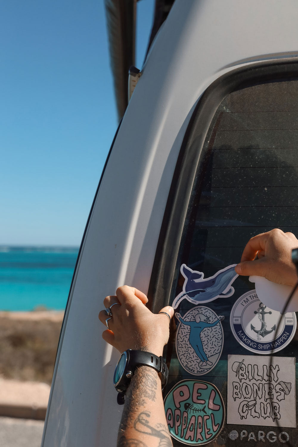 Sticker - Humpback Whale - Sailfish Creative