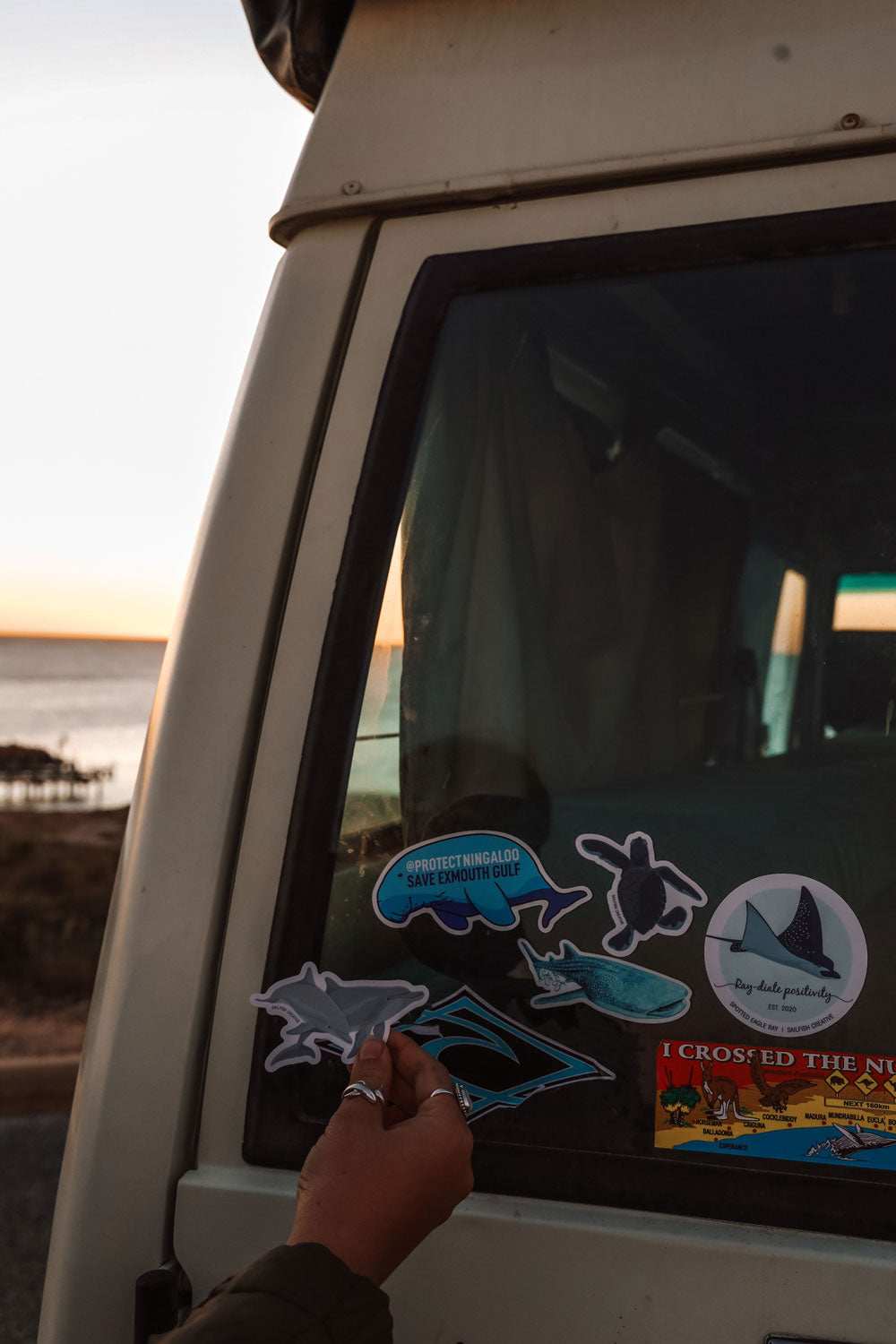 Sticker - Dolphins - Sailfish Creative