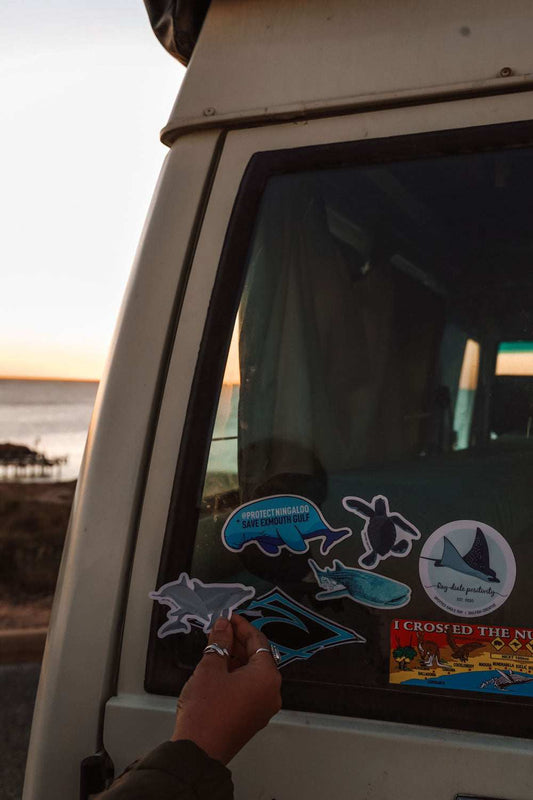 Sticker - Dolphins - Sailfish Creative