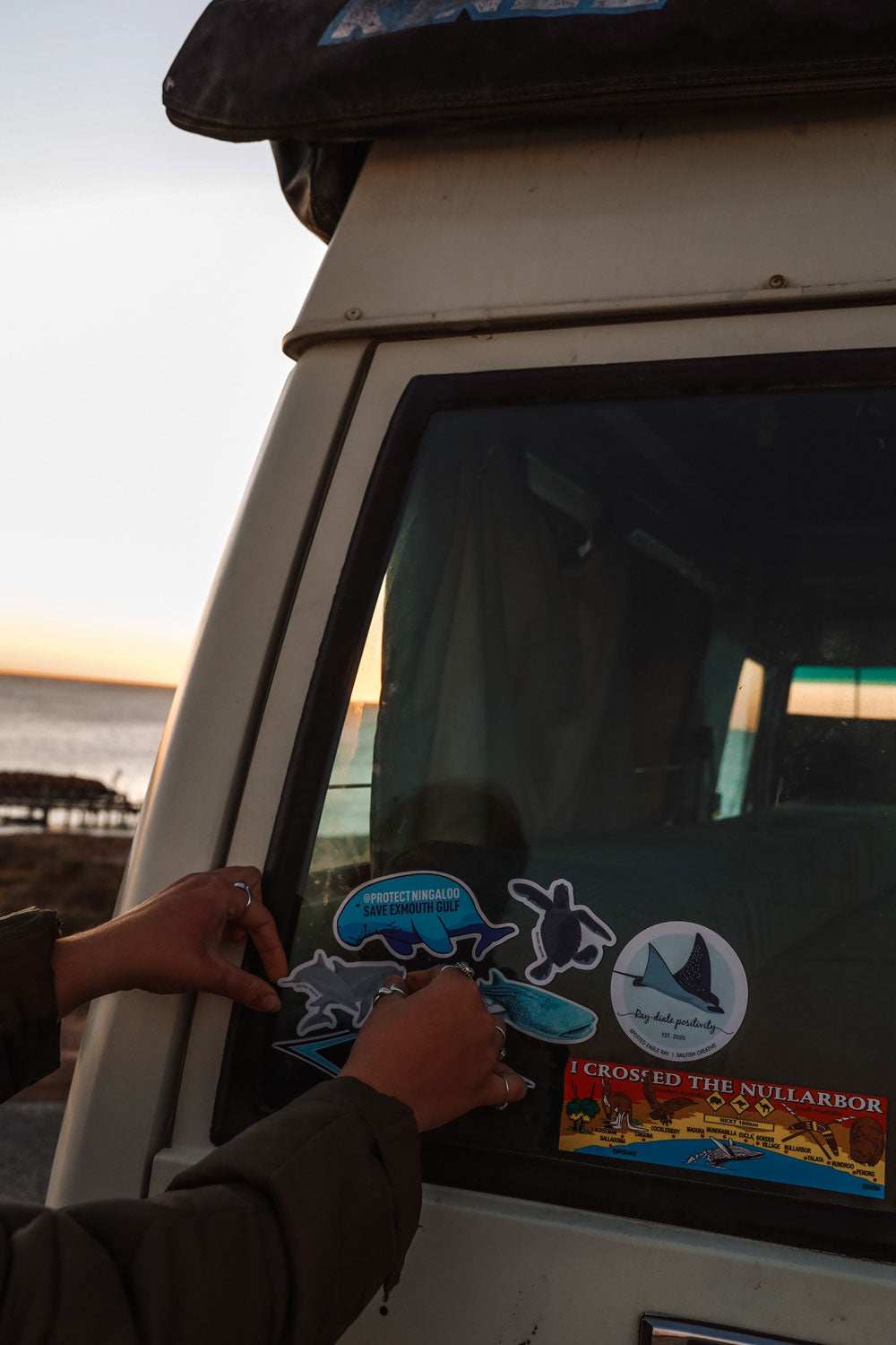 Sticker - Dolphins - Sailfish Creative