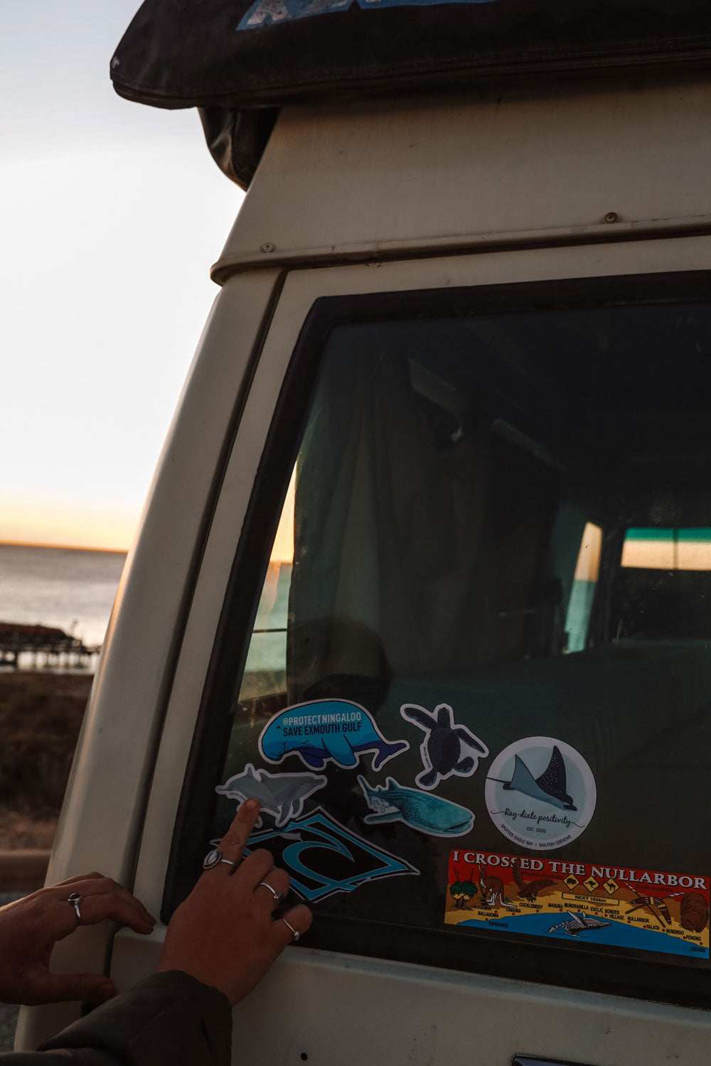 Sticker - Dolphins - Sailfish Creative