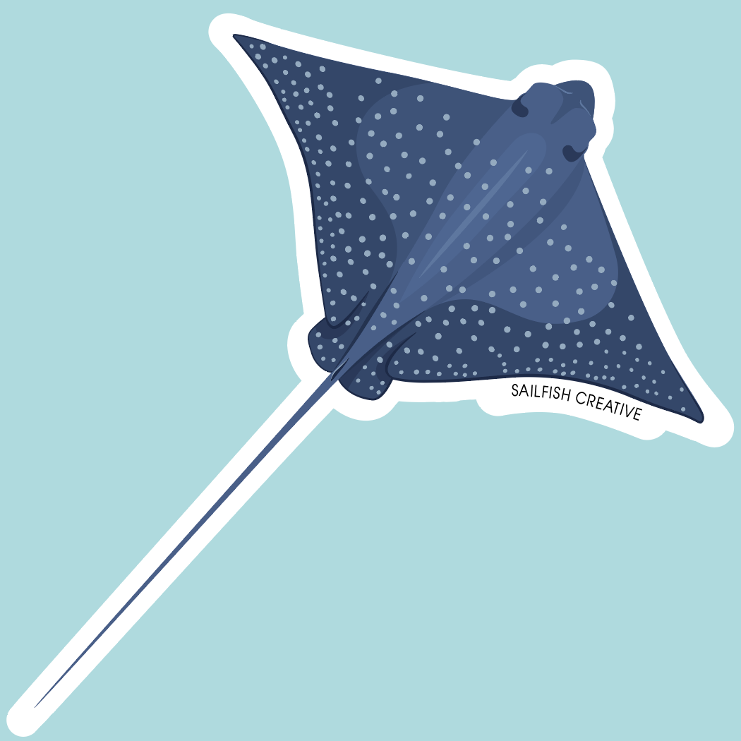 Sticker - Eagle Ray Birdseye - Sailfish Creative
