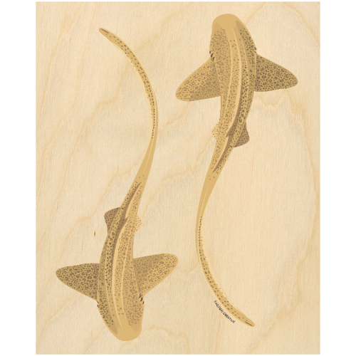 LIMITED TIME ONLY Wood Wall Art - Leopard Sharks
