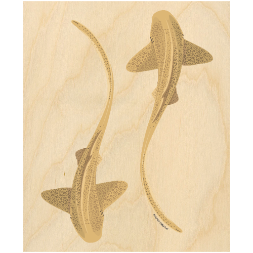 LIMITED TIME ONLY Wood Wall Art - Leopard Sharks