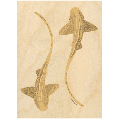 LIMITED TIME ONLY Wood Wall Art - Leopard Sharks