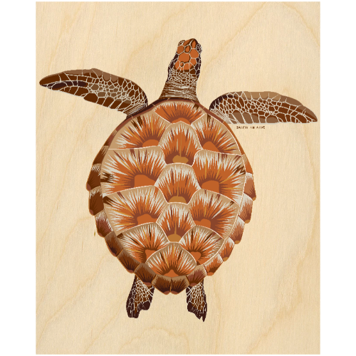 LIMITED TIME ONLY Wood Wall Art - Juvenile Green Turtle