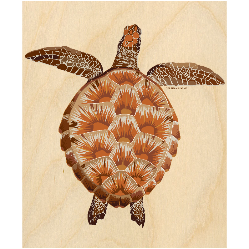 LIMITED TIME ONLY Wood Wall Art - Juvenile Green Turtle