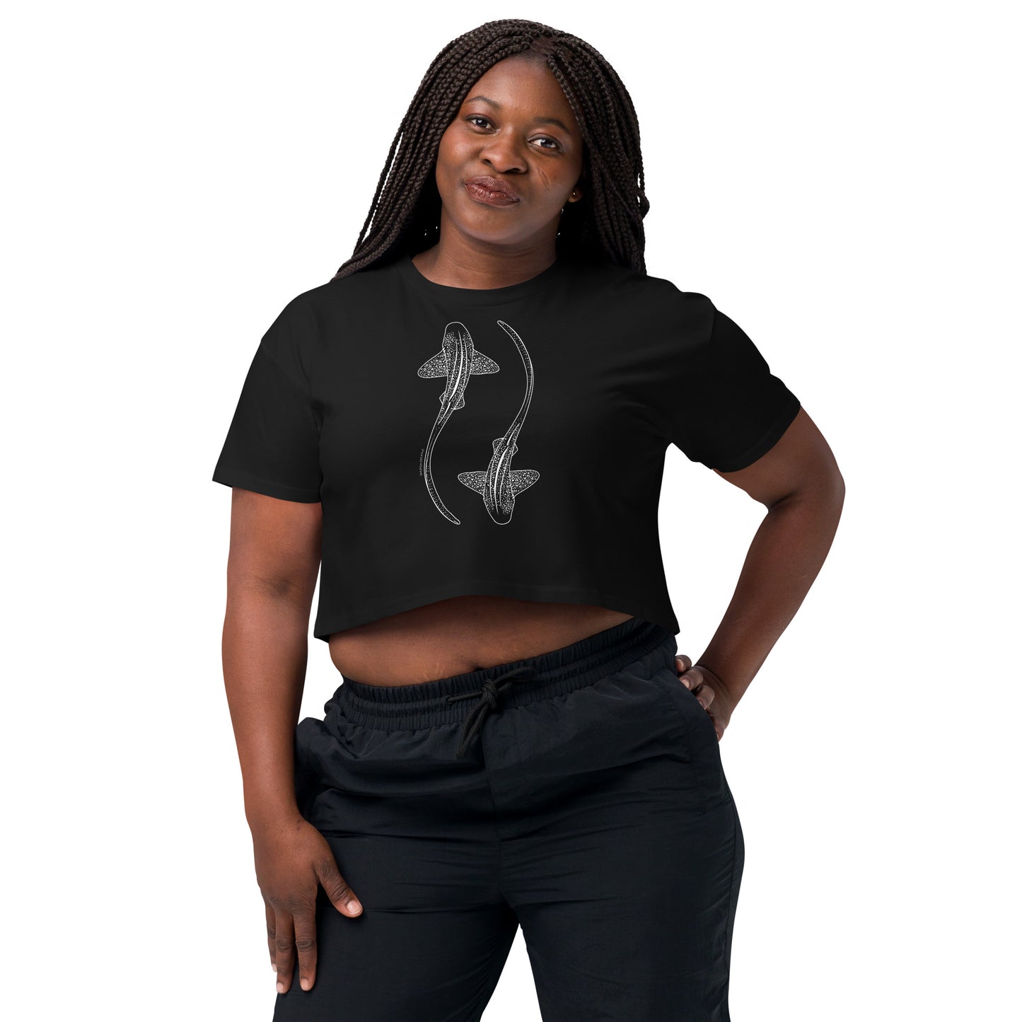 Leopard Shark Line Art - Women's Crop T-Shirt - Sailfish Creative