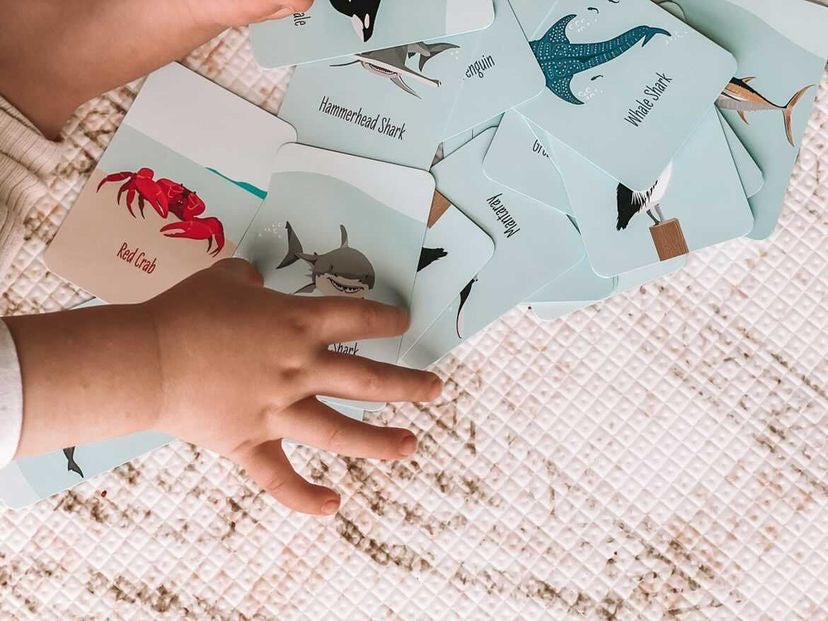 3 Games in 1! Go Fish, Snap and Memory Game in Jute Bag - Sailfish Creative