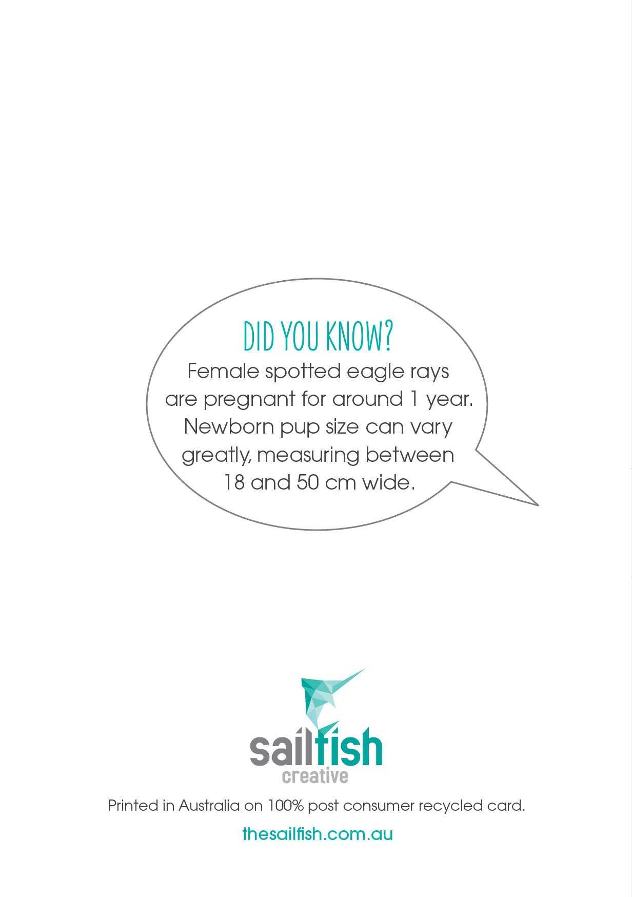 Baby Card - Spotted Eagle Rays - Sailfish Creative