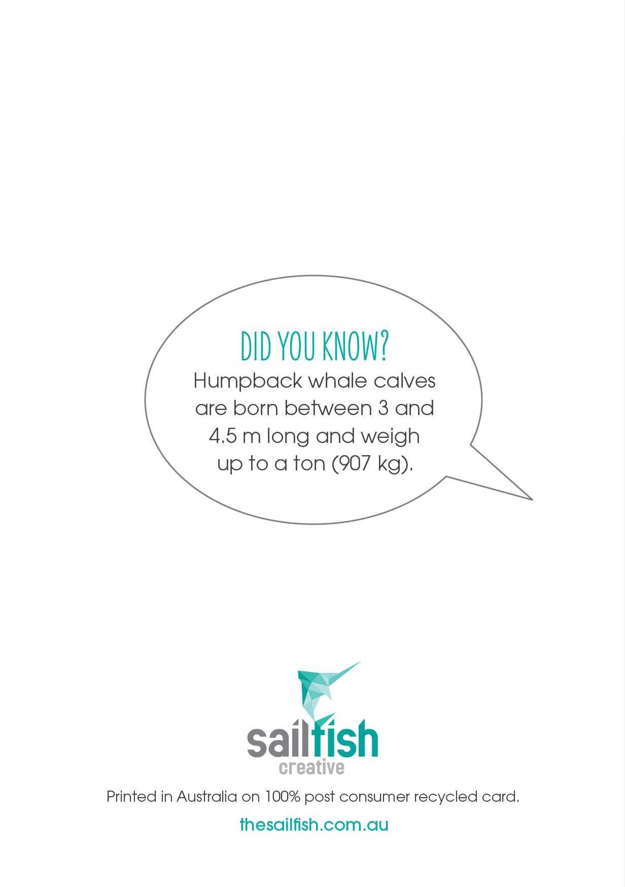 Baby Card - Humpback Whales - Sailfish Creative