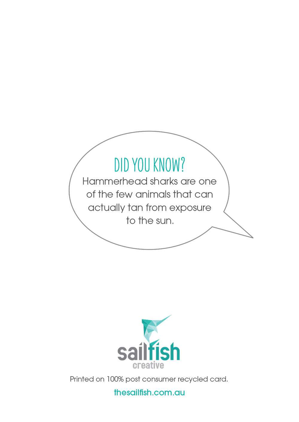 Birthday Card - Hammerhead Shark - Sailfish Creative