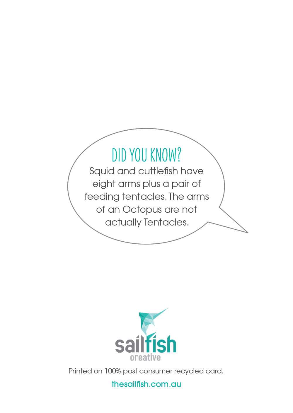 Birthday Card - Arrow Squid - Sailfish Creative