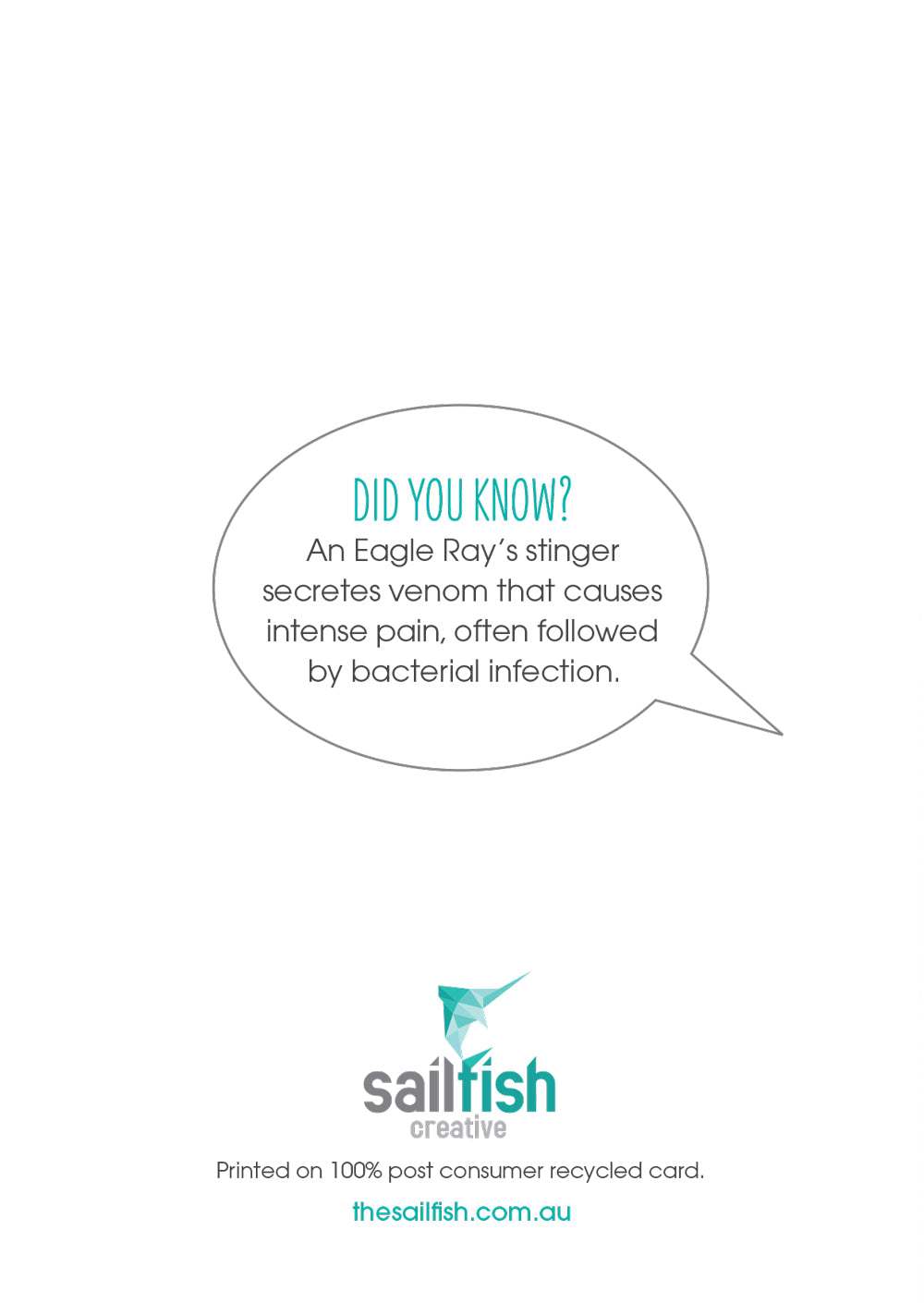 Christmas Card - Spotted Eagle Ray - Sailfish Creative