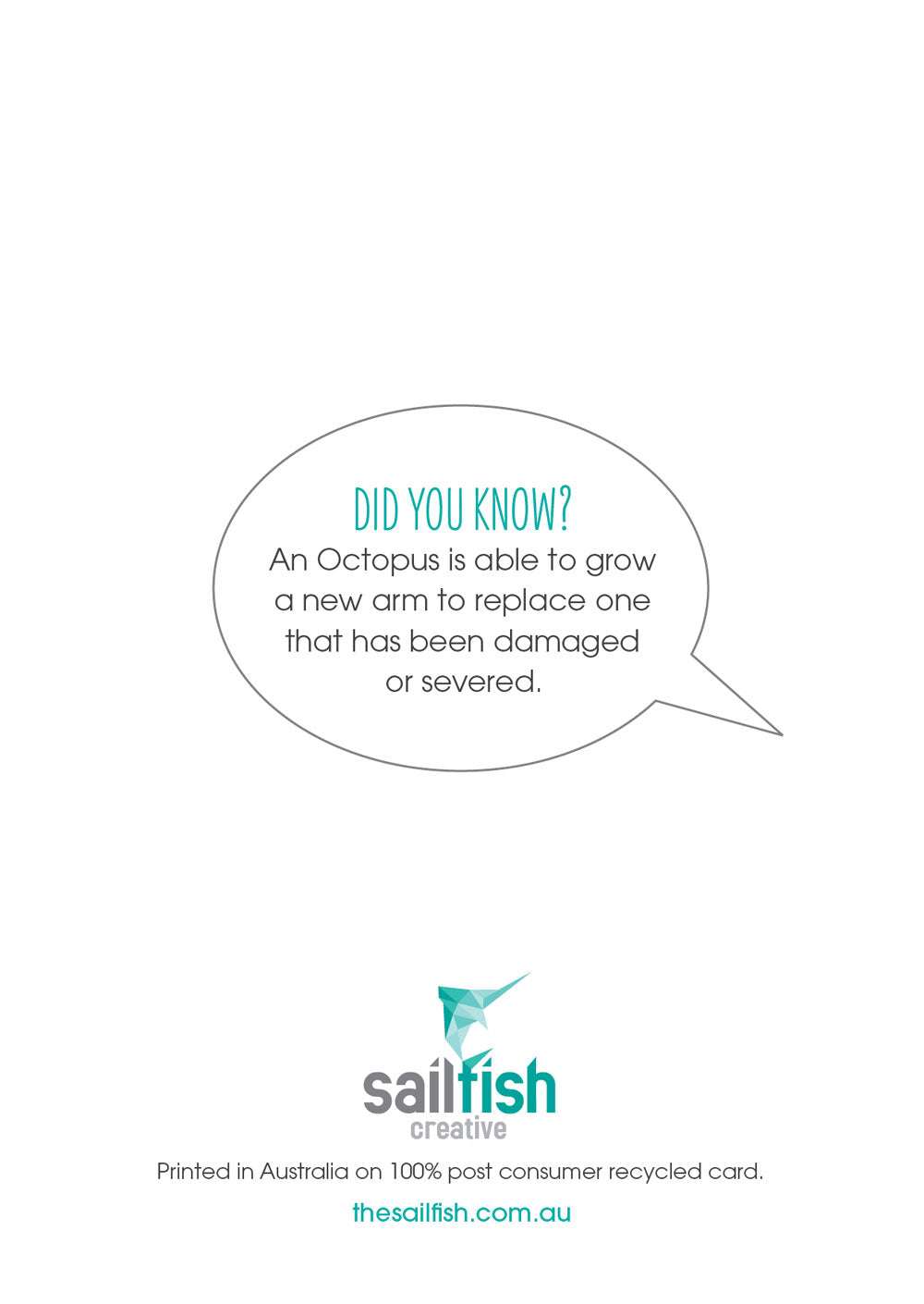 Christmas Card - Octopus - Sailfish Creative