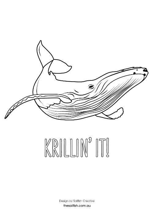 FREE PRINTABLE COLOURING SHEETS - Sailfish Creative
