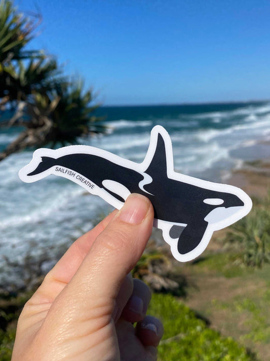 Orca Killer Whale sticker held by hand with ocean background outdoors