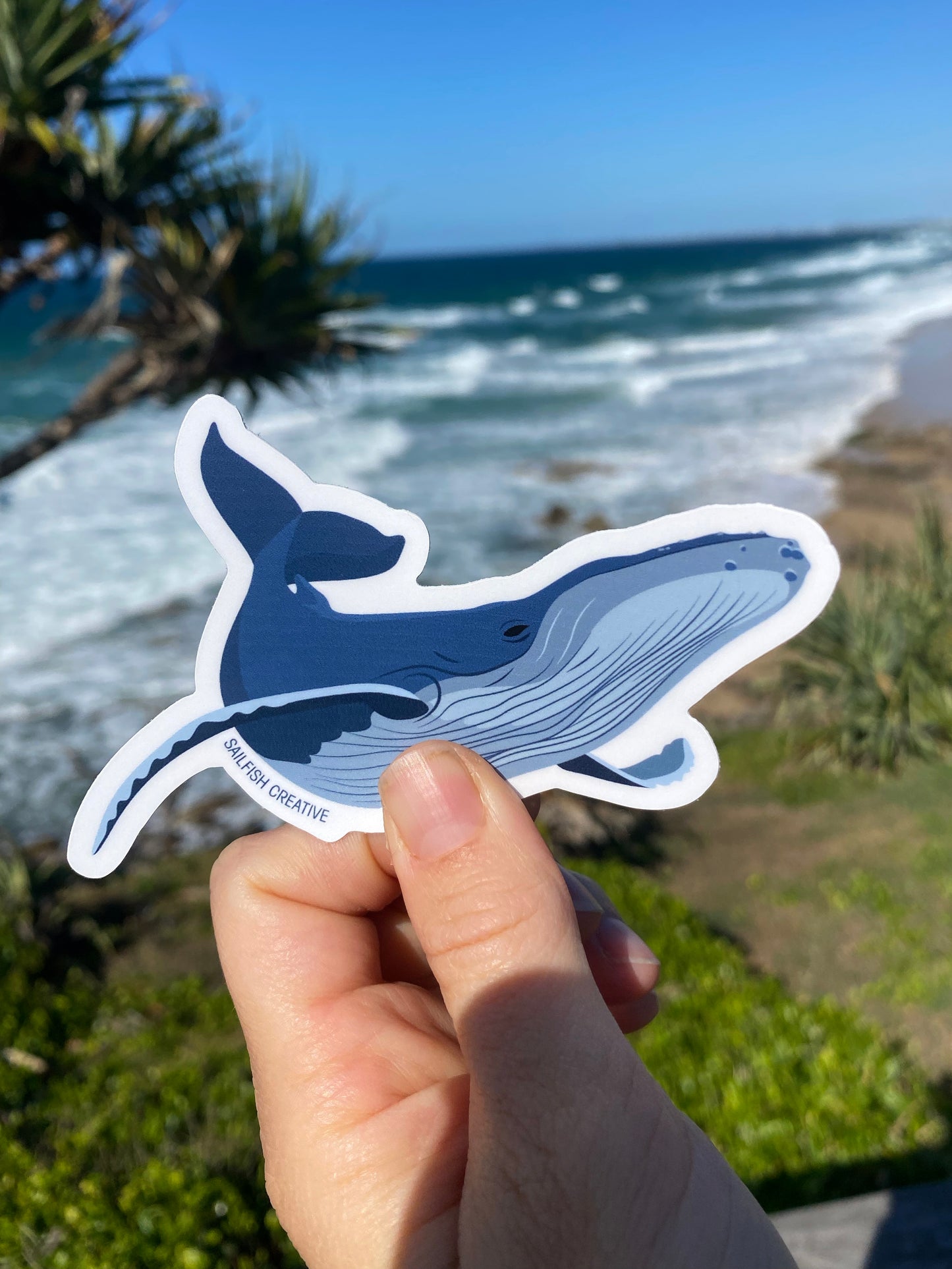 Sticker - Humpback Whale - Sailfish Creative