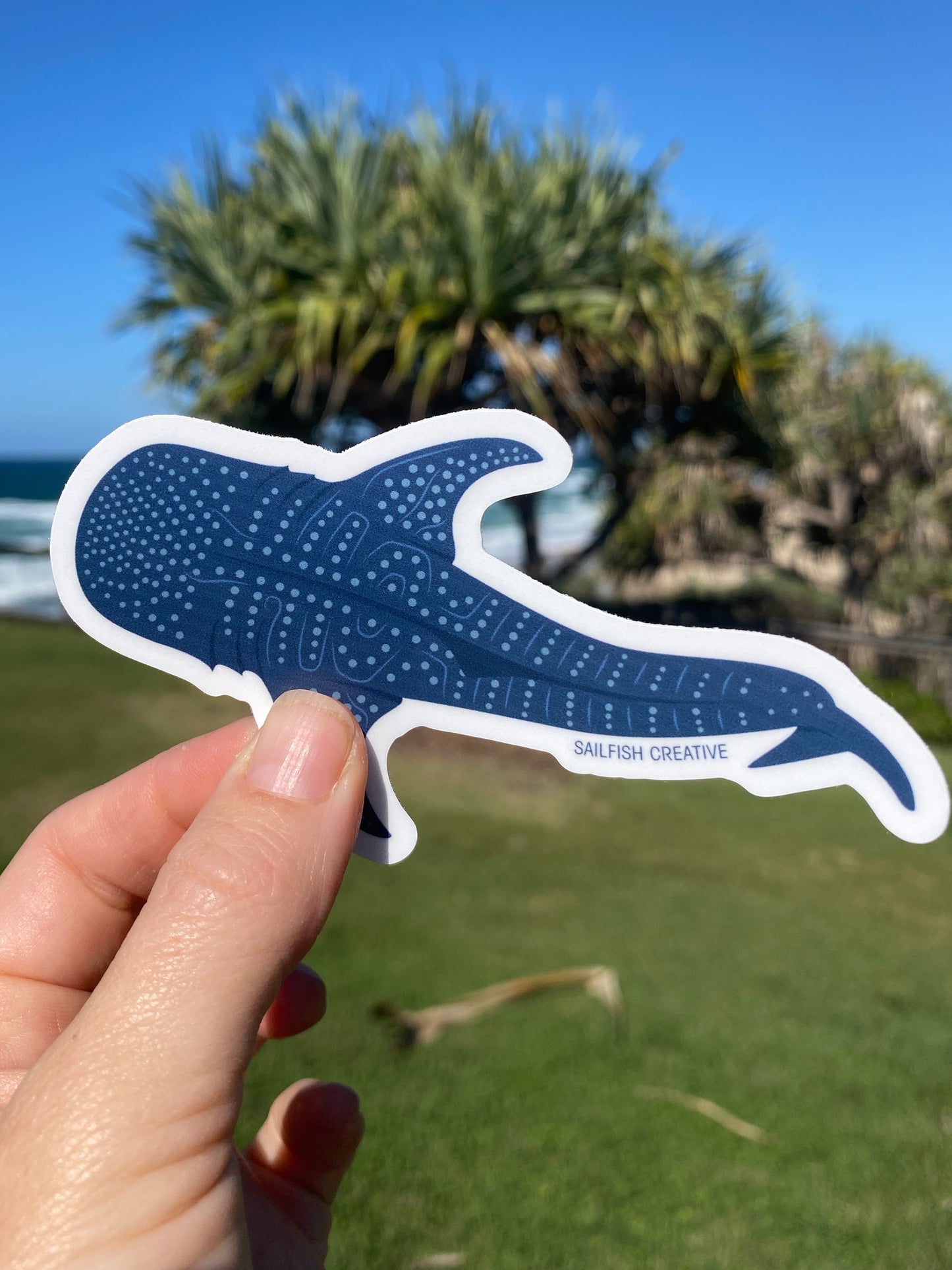 Sticker - Whale Shark - Sailfish Creative