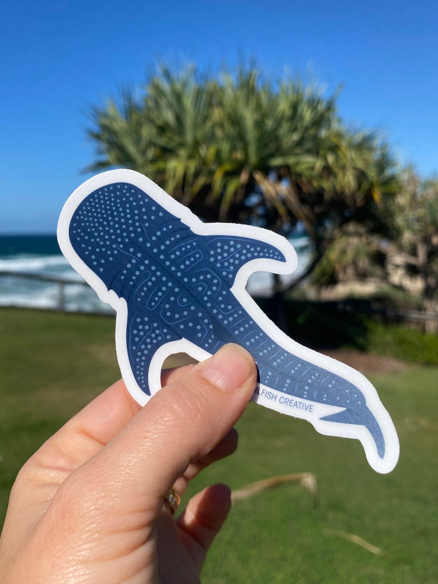 Sticker - Whale Shark - Sailfish Creative