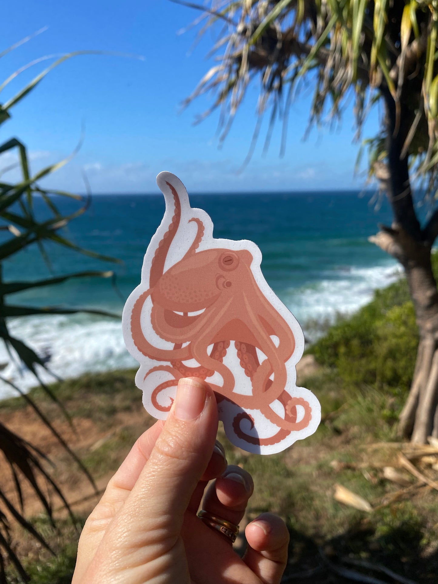 Sticker - Octopus - Sailfish Creative