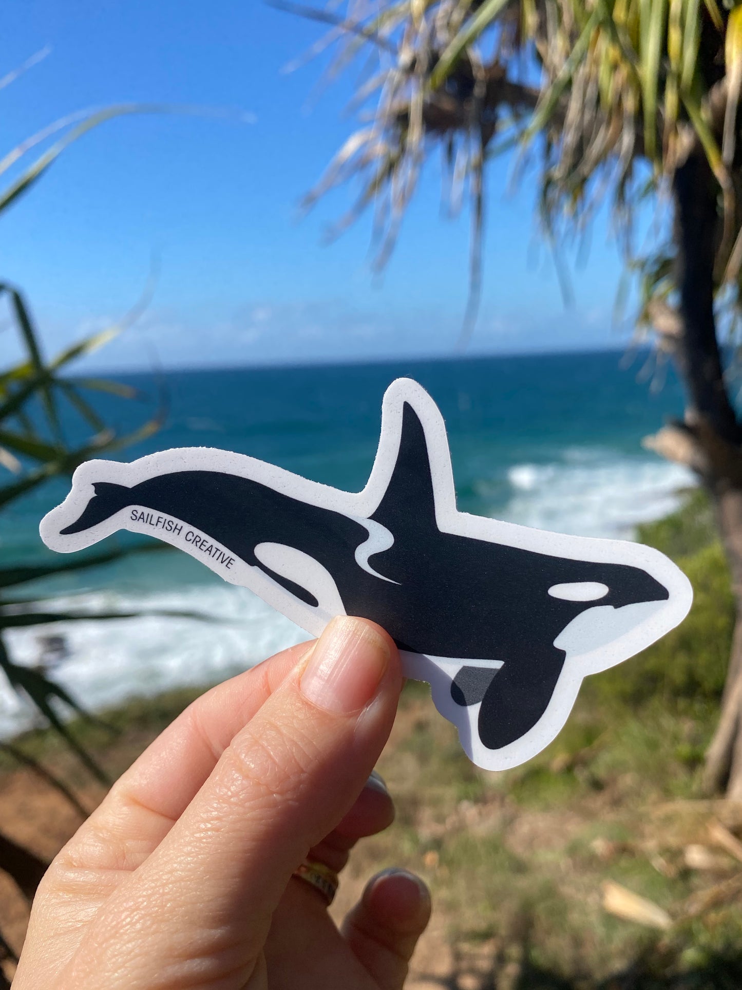 Sticker - Orca Killer Whale - Sailfish Creative