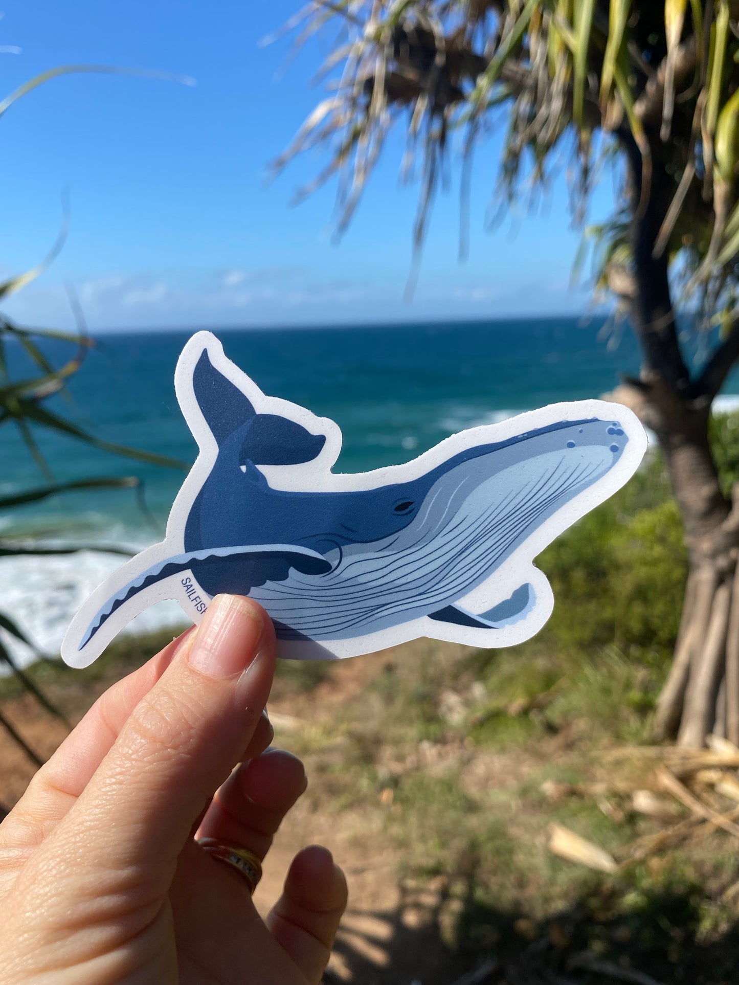 Sticker - Humpback Whale - Sailfish Creative