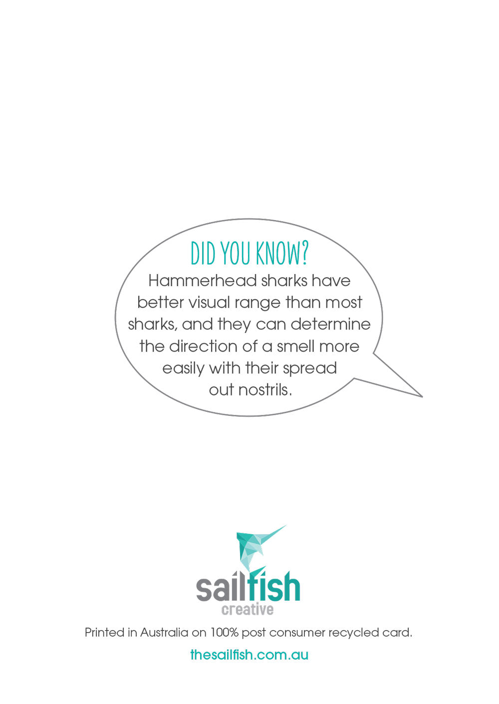 Other Card - Hammerhead Shark - Sailfish Creative