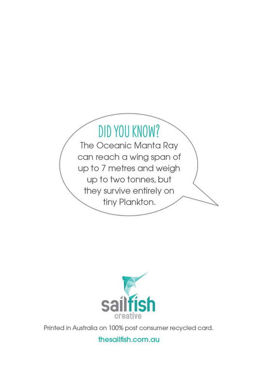 Other Card - Manta Ray - Sailfish Creative
