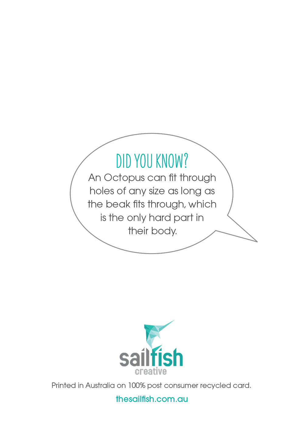 Other Card - Octopus - Sailfish Creative