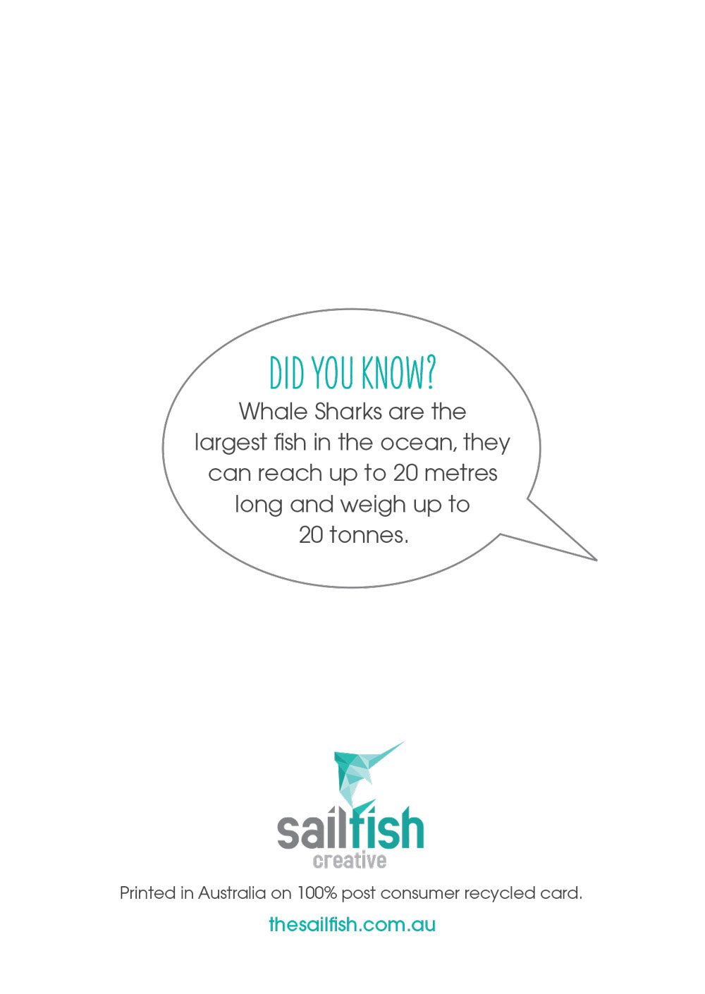 Other Card - Whale Shark - Sailfish Creative
