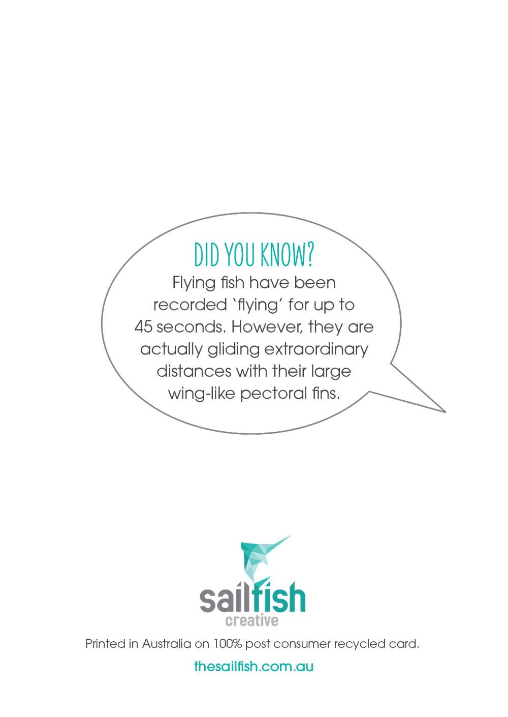 Other Card - Flying Fish - Sailfish Creative
