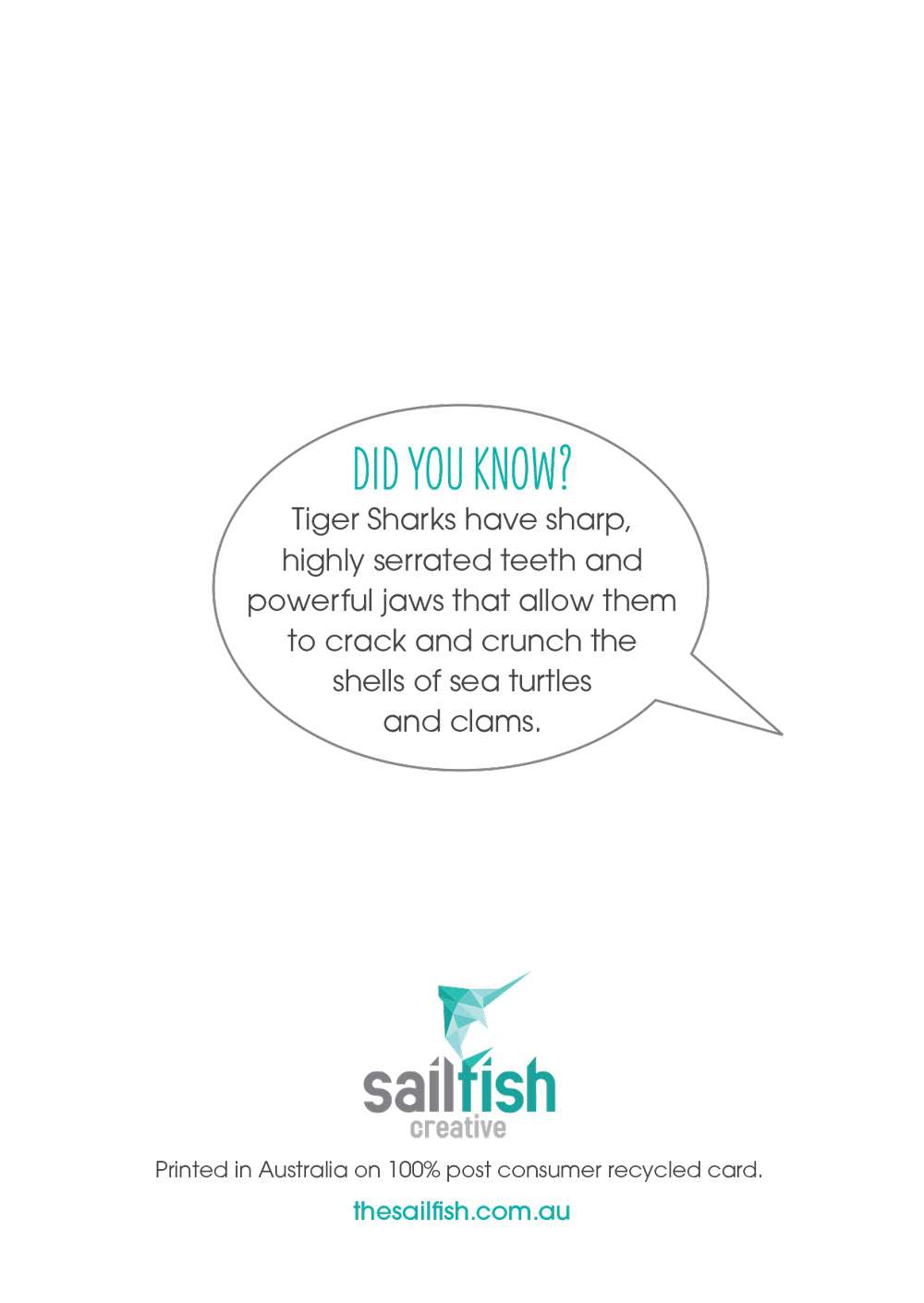 Other Card - Tiger Shark - Sailfish Creative